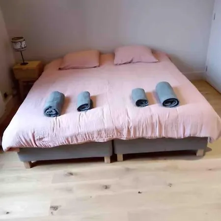 For Anyone Looking